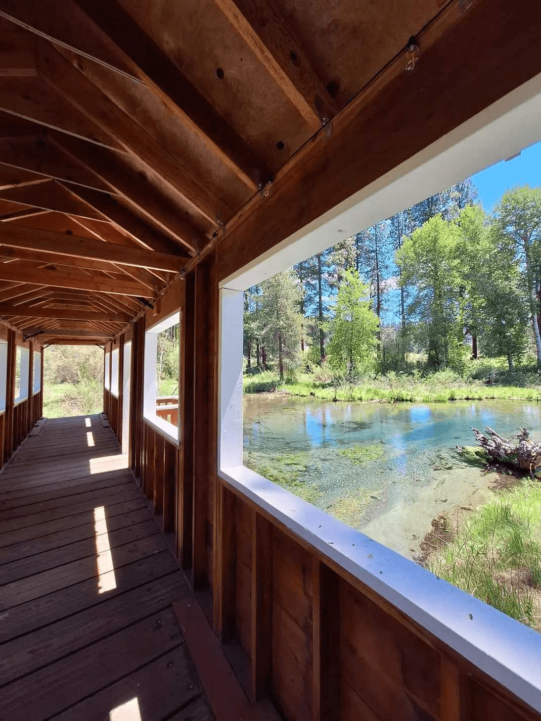 Covered + floating bridges, geocaching