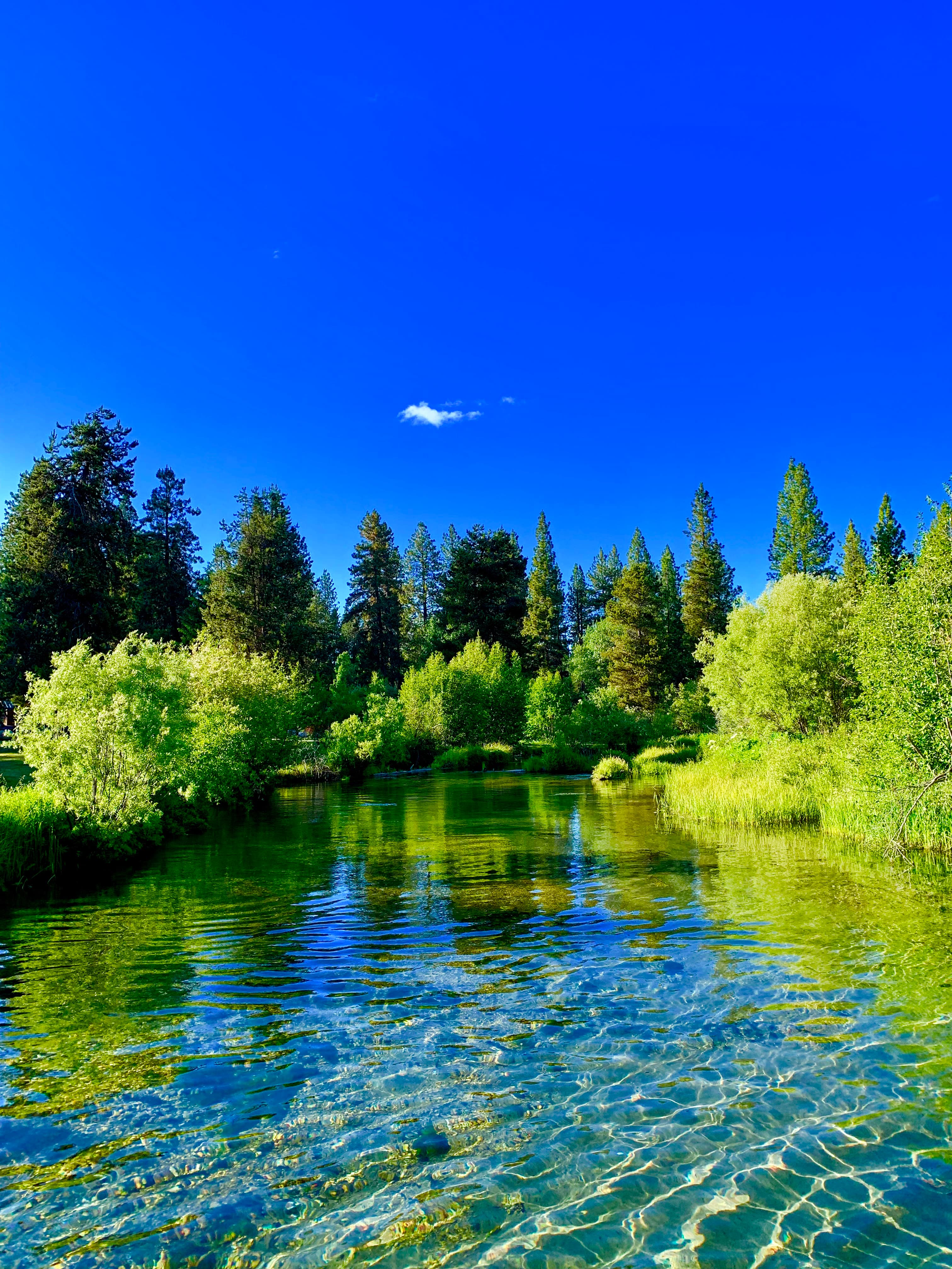Fort Creek under a cobalt sky