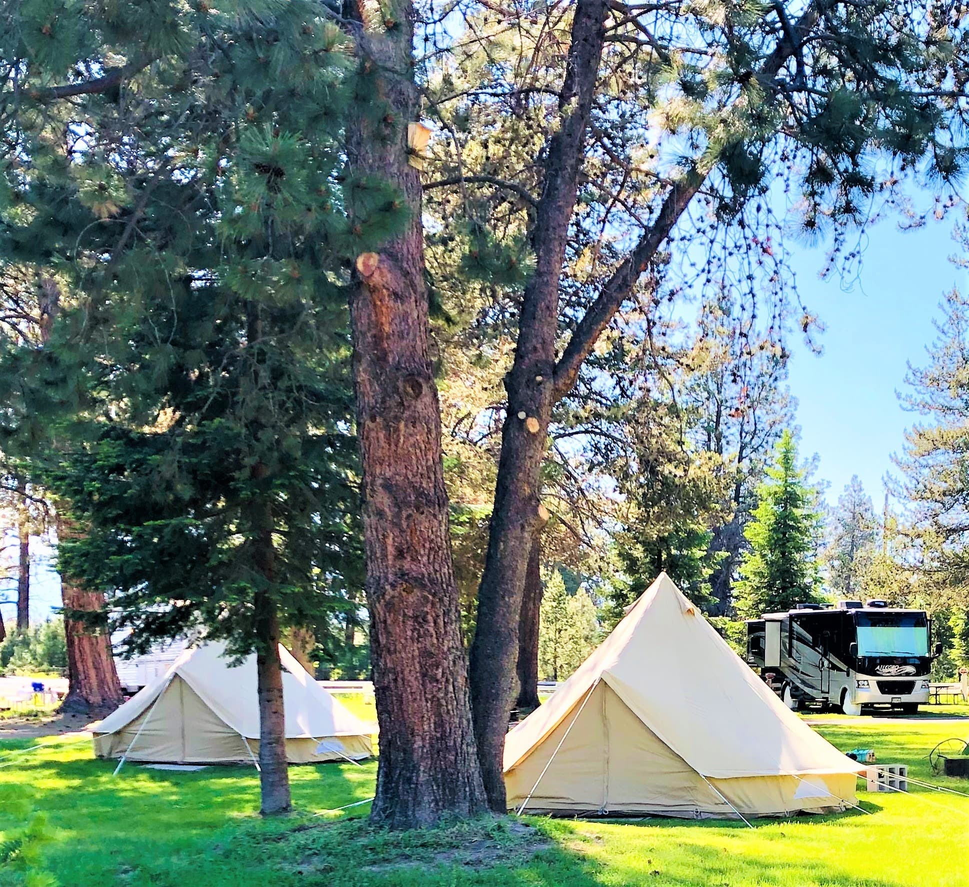 4 Glamping Sites
